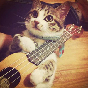 赵一曼被扒个精光裸体小说
