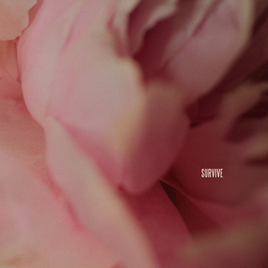 赵一曼被扒个精光裸体小说
